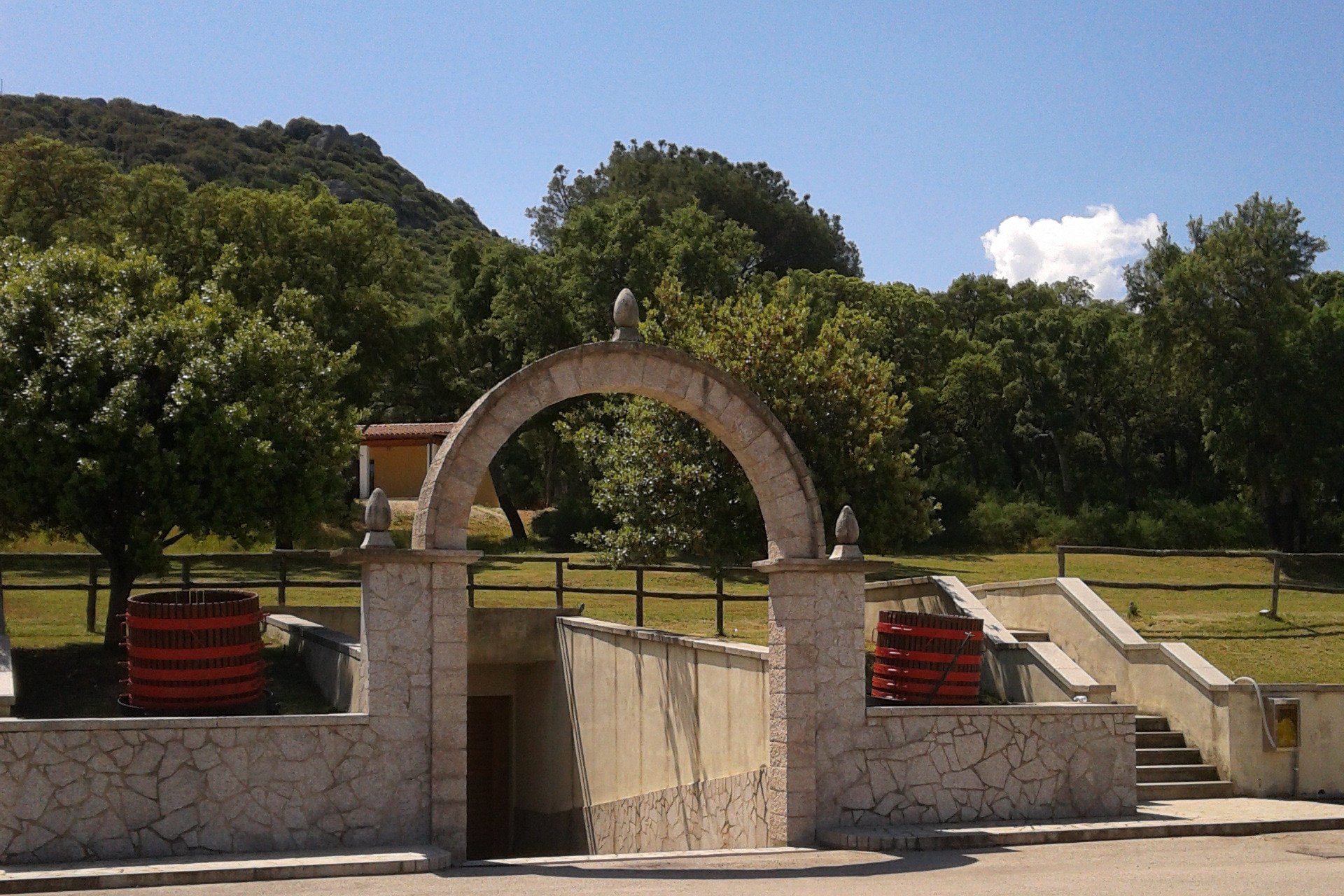 Cantina del Vermentino Sardinien